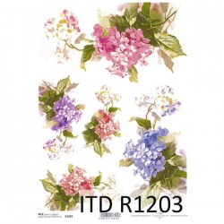 R1203 small N